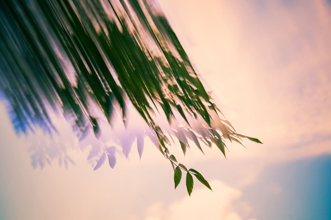德国不约请俄代表到会二战纪念活动 俄大使:十分不友好